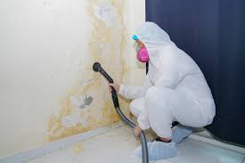 Why You Should Choose Our Mold Remediation Services in Liberty, MO